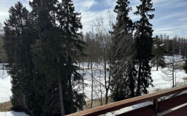 Furnished flat 3.5 rooms - image - 6
