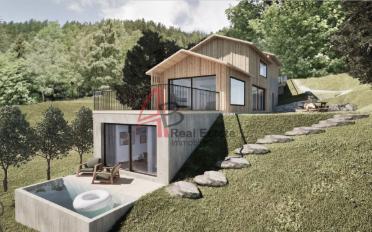 Einfamilienhaus 4.5 Zimmer - image - 1