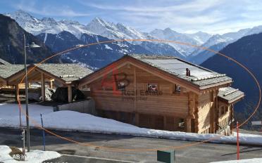 Chalet 6.5 pièces - image - 1