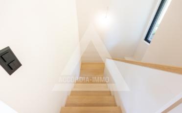 Villa - image - 8