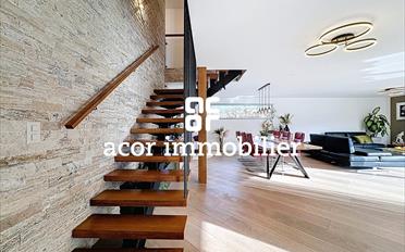 Villa 6.5 Zimmer - image - 2