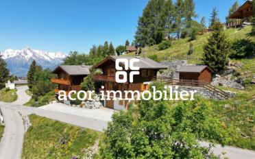 Chalet 4.5 rooms - image - 2