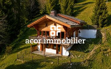 Chalet 4 Zimmer - image - 1