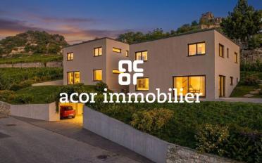 Villa 5.5 pièces - image - 5