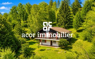 Chalet 5.5 Zimmer - image - 1
