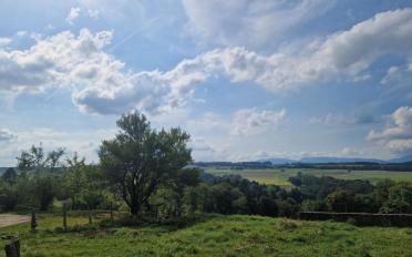 Appartement 3.5 pièces - image - 2