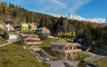 Chalet 4.5 Zimmer - image - 3