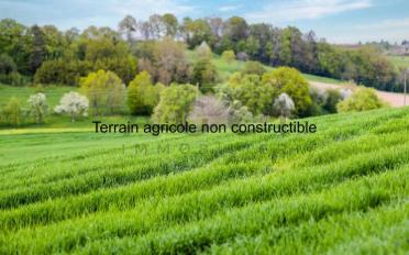 Building land - image - 1
