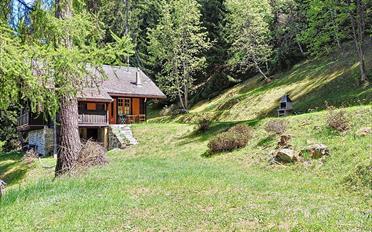 Chalet 3.5 Zimmer - image - 1