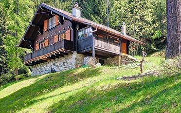 Chalet 3.5 Zimmer - image - 2