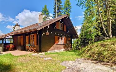 Chalet 3.5 Zimmer - image - 21