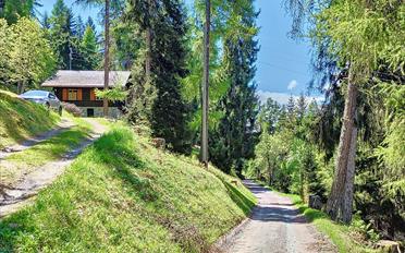 Chalet 3.5 Zimmer - image - 22