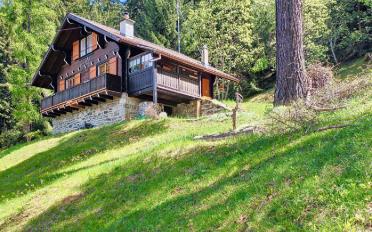Chalet 3.5 rooms - image - 11