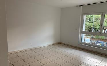 Wohnung 3.5 Zimmer - image - 4