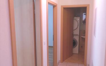 Wohnung 3.5 Zimmer - image - 5