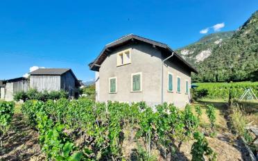 Einfamilienhaus - image - 20