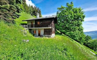 Chalet 3.5 Zimmer - image - 16