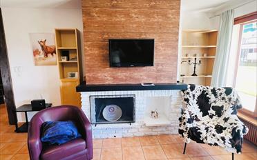 Terrassenwohnung 2.5 Zimmer - image - 6