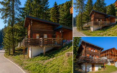 Chalet 1.5 pièces - image - 1