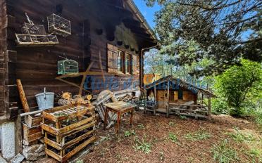 Chalet 8 pièces - image - 2