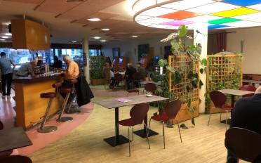 Restaurant - image - 2
