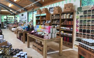 Shop - image - 1