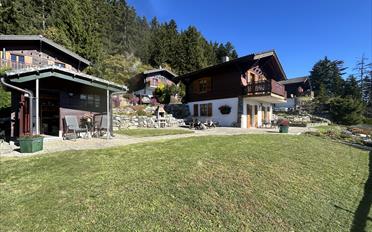 Chalet 4 Zimmer - image - 3