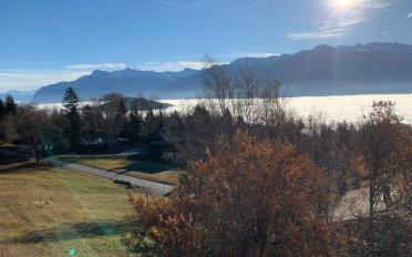 Chalet 4 Zimmer - image - 11