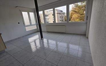 Wohnung 3 Zimmer - image - 2