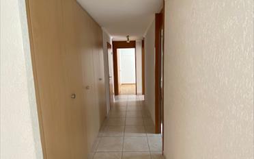 Wohnung 4.5 Zimmer - image - 5