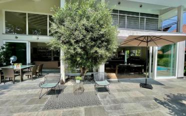 Single house 11 rooms - image - 10