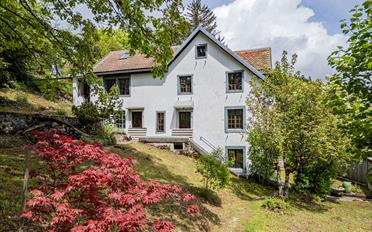 Single house 10 rooms - image - 3