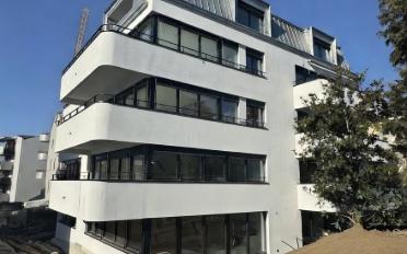 Wohnung 2.5 Zimmer - image - 1