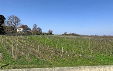 Duplex 4.5 pièces - image - 11
