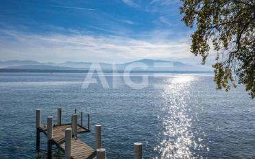 Villa 10 Zimmer - image - 2