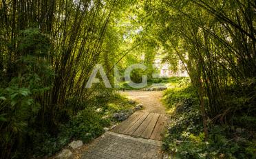 Wohnung 6 Zimmer - image - 10