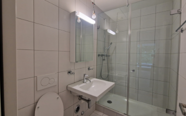 Appartement 4.5 pièces - image - 9