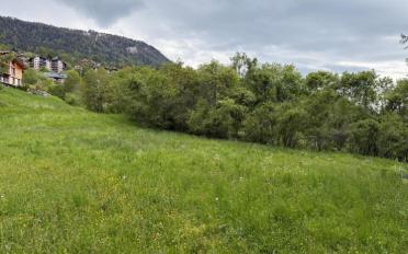 Building land - image - 2