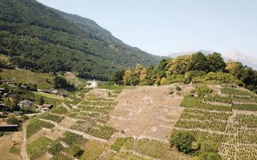 Terrain agricole - image - 2