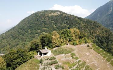 Terrain agricole - image - 5