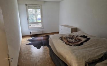 Wohnung 4 Zimmer - image - 4