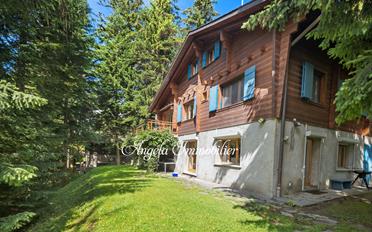 Chalet 9 pièces - image - 1