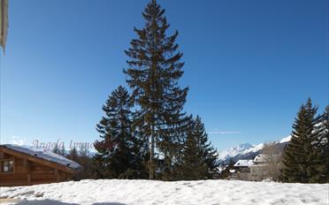 Duplex 5 pièces - image - 15