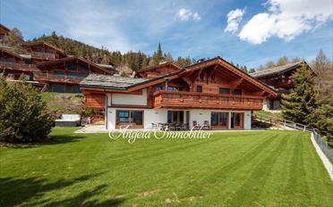 Duplex 6 Zimmer - image - 1