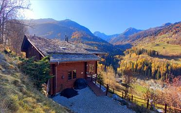 Chalet 12 pièces - image - 1