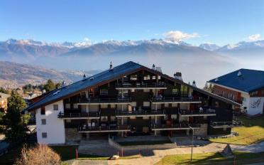 Studio 1 pièce - image - 10