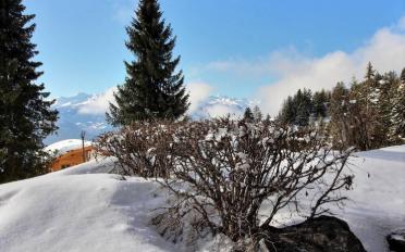 Appartement 3 pièces - image - 8