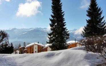 Appartement 3 pièces - image - 10