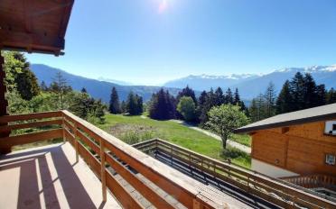 Chalet 4.5 Zimmer - image - 12