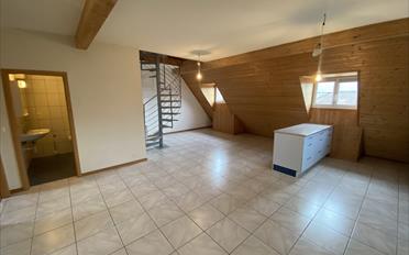 Duplex 3.5 pièces - image - 3